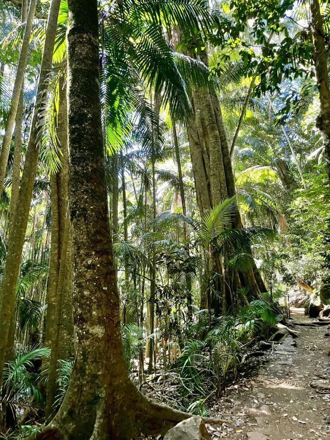 Mountain Studio Escape Mount Tamborine Eksteriør bilde